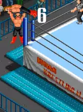 Super Fire Pro Wrestling