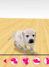 The Dog: Happy Life