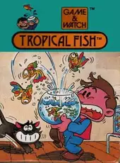 Tropical Fish