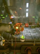 Bounty Arms