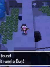 Pokémon Blaze Black