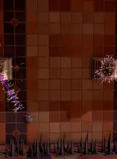 Roxy Raccoon 3: Troubles in Time