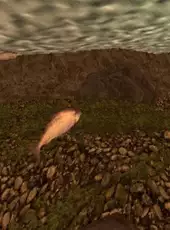 Reel Fishing: The Great Outdoors