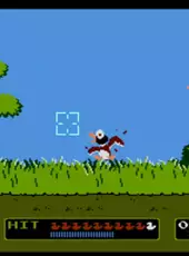 Duck Hunt