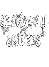 Search All: Spiders