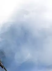 Company of Heroes 2: Ardennes Assault - Fox Company Rangers