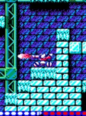 Blaster Master: Enemy Below