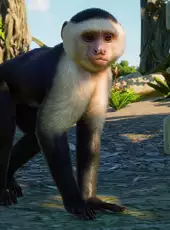 Planet Zoo: South America Pack