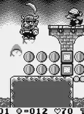 Wario Land: Super Mario Land 3