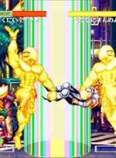 World Heroes Perfect