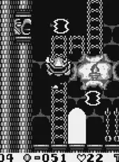 Wario Land: Super Mario Land 3