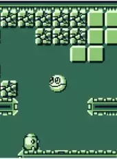 Chalvo 55: Super Puzzle Action