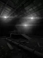 Days Without Incident