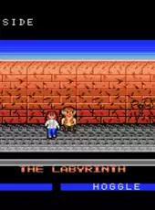 Labyrinth: The Computer Game