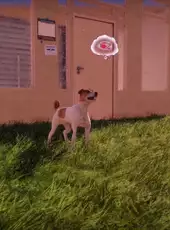 Animal Shelter 2: Hunting Dogs Pack