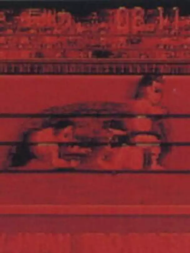 Shin Nippon Pro Wrestling: Gekitou Densetsu