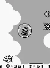 Super Mario Land 2: 6 Golden Coins