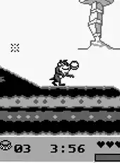 Taz-Mania 2