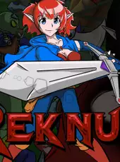 Reknum