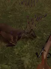 Hunting Simulator VR