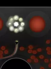 Fluid