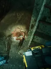 Still Wakes the Deep: Siren's Rest
