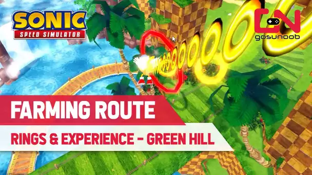 My Best RINGS & EXPERIENCE FARMING ROUTE in Green Hill Sonic Speed Simulator