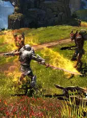 Kingdoms of Amalur: Re-Reckoning