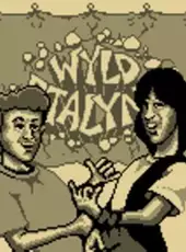 Bill & Ted's Excellent Game Boy Adventure: A Bogus Journey!