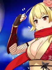 Moe! Ninja Girls