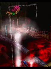 Tomba! 2: The Evil Swine Return Special Edition