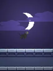 Rooftop Rascal: The Midnight Cat