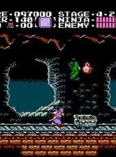 Ninja Gaiden