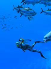 Endless Ocean: Luminous