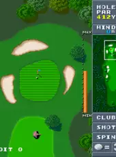 Birdie Try