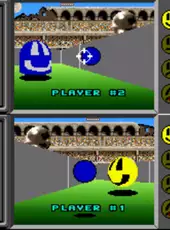 Faceball 2000