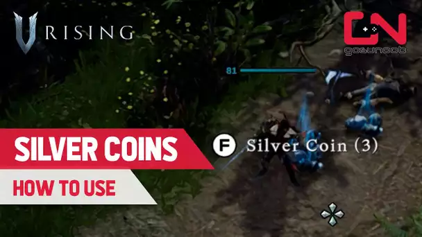 V Rising SILVER COINS - How to USE & Where to SPEND