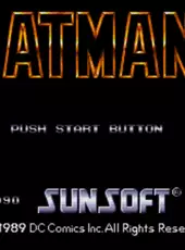 Batman: The Video Game