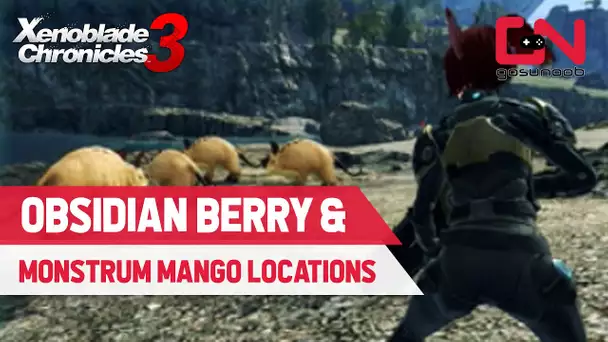 Obsidian Berry & Monstrum Mango Locations in Xenoblade Chronicles 3 Rules of the Hunt
