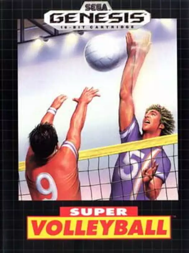 Super Volley Ball