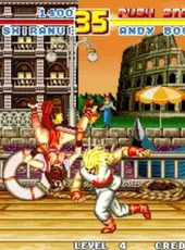 Fatal Fury Special