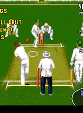 Allan Border's Cricket