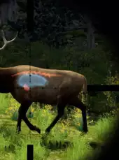 Cabela's Big Game Hunter 2010