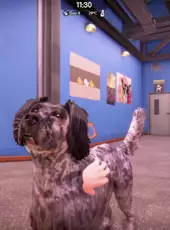 Animal Shelter 2: Hunting Dogs Pack