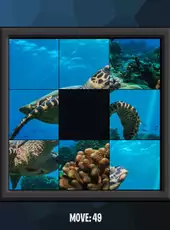 Intelligence: Underwater Kingdom