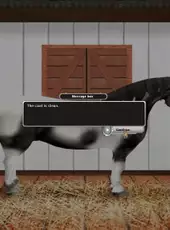 Rider's World: I Want to Ride!