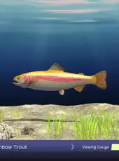 Reel Fishing: Days of Summer