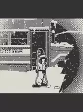 The Whiteout