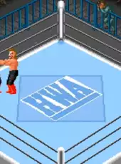 Super Fire Pro Wrestling