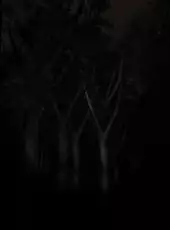 Slender: The Eight Pages